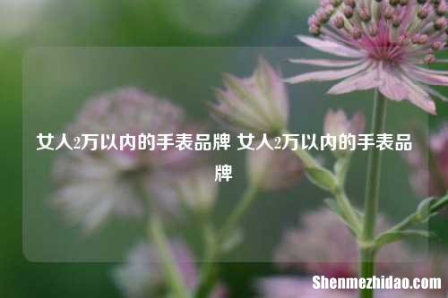 女人2万以内的手表品牌 女人2万以内的手表品牌