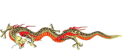 2019属龙人的运势 属龙人在2019年的全年运势
