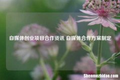 自媒体创业项目合作资讯 自媒体合作方案制定