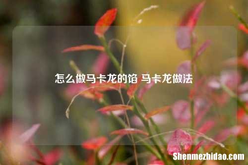 怎么做马卡龙的馅 马卡龙做法