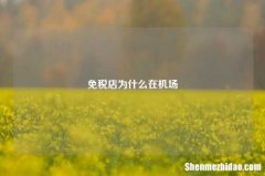 免税店为什么在机场