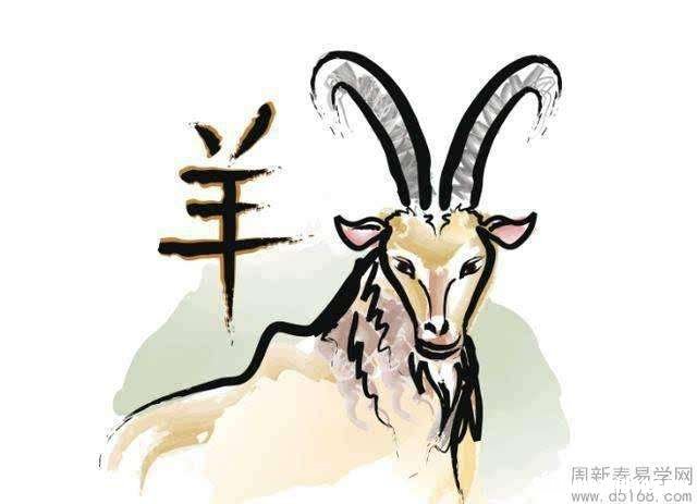 属羊年运势运程 属羊年运势运程如何