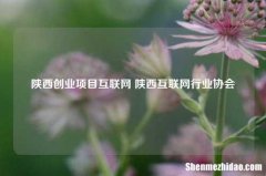 陕西创业项目互联网 陕西互联网行业协会
