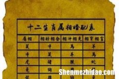 冒牌男女的生肖配对表