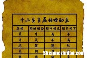 冒牌男女的生肖配对表