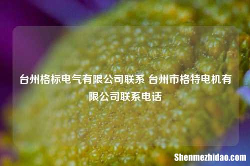 台州格标电气有限公司联系 台州市格特电机有限公司联系电话