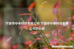 宁波市中承科技有限公司 宁波市中承科技有限公司怎么样