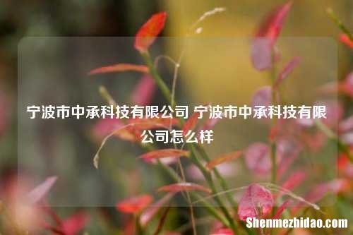宁波市中承科技有限公司 宁波市中承科技有限公司怎么样
