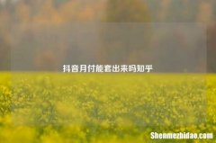 抖音月付能用起来吗知乎