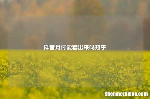 抖音月付能用起来吗知乎