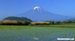 日本土地1个亿土地税金 日本土地1个亿土地税金多少