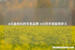 30元较良心的手表品牌 30元的手表能用多久
