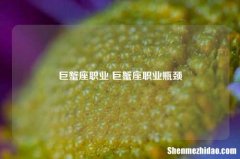 巨蟹座职业 巨蟹座职业瓶颈