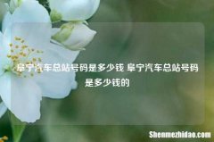 阜宁汽车总站号码是多少钱 阜宁汽车总站号码是多少钱的