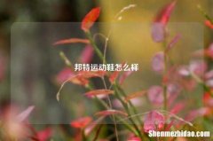 邦特运动鞋怎么样
