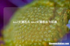 dota2火猫怎么 dota2火猫怎么飞后魂