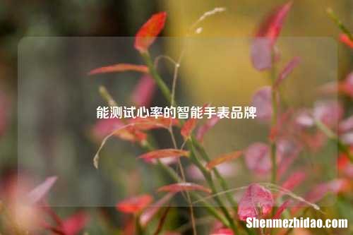 能测试心率的智能手表品牌