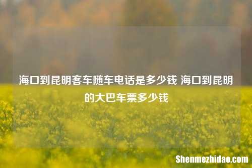 海口到昆明客车随车电话是多少钱 海口到昆明的大巴车票多少钱