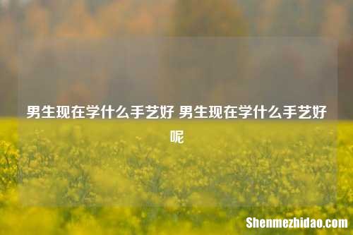 男生现在学什么手艺好 男生现在学什么手艺好呢