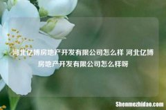 河北亿博房地产开发有限公司怎么样 河北亿博房地产开发有限公司怎么样呀