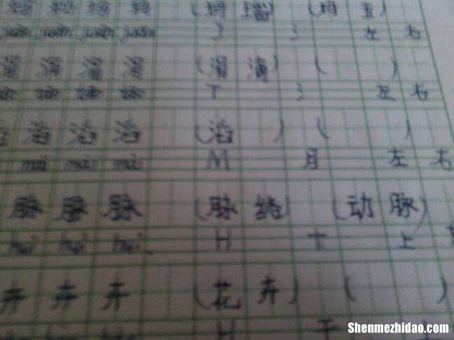 字怎么组词 字怎么组词二年级下册