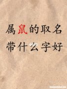 属鼠的孩子起名 今年属鼠的孩子起什么名字好