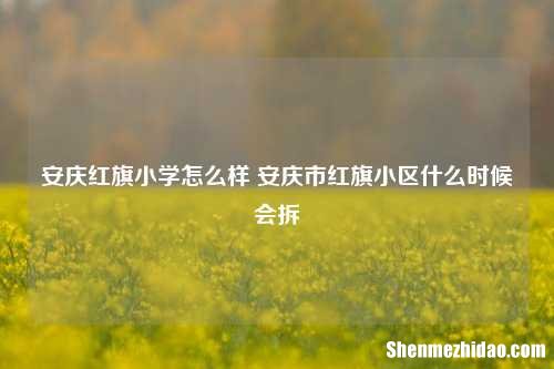 安庆红旗小学怎么样 安庆市红旗小区什么时候会拆