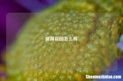 御湖花园怎么样