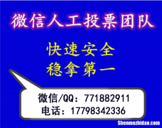 微信公众号自动投票刷票器 微信公众号自动投票刷票器怎么用