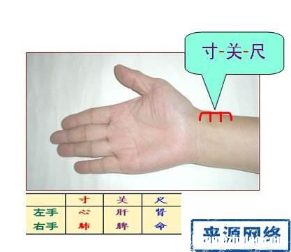 脉搏多少正常 脉搏多少正常范围内40岁