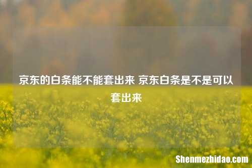 平台的羊小咩能不能用起来 平台羊小咩是不是可以用起来