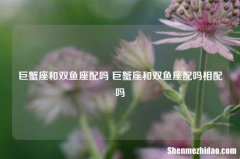 巨蟹座和双鱼座配吗 巨蟹座和双鱼座配吗相配吗