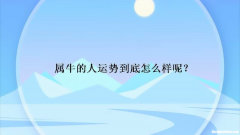 2015属牛运势 属牛2015年运势及运程每月