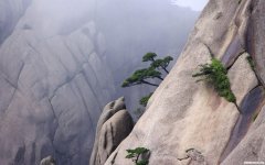 黄山风景区的面积 黄山风景区的面积约为160