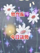 处女座女生今日的运势如何 处女座女今日运势查询势水墨