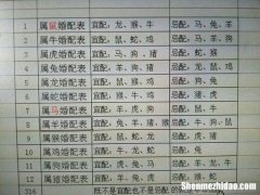 各种生肖男婚姻配对表大全 各种生肖男婚姻配对表大全图解