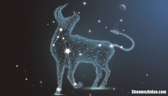 星座性格金牛 金牛星座是什么性格的