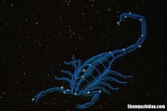 较狠毒的星座男 较狠毒的星座男生