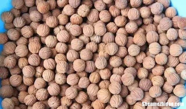 花中花核桃 花中花文玩核桃