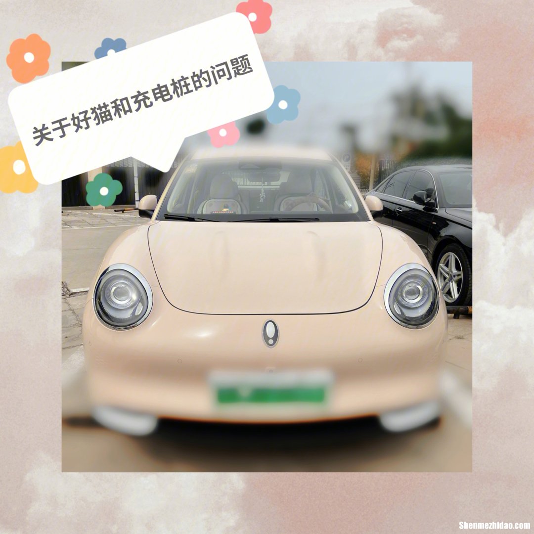 欧拉好猫充电桩拔不出 欧拉好猫充电桩拔不出电