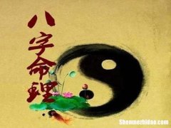新算命吧 帮我算算命吧