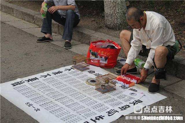 新算命吧 帮我算算命吧
