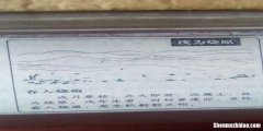 徐徐占卜拼音 占卜拼音怎么读