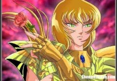 圣斗士双鱼 圣斗士双鱼座雅柏菲卡