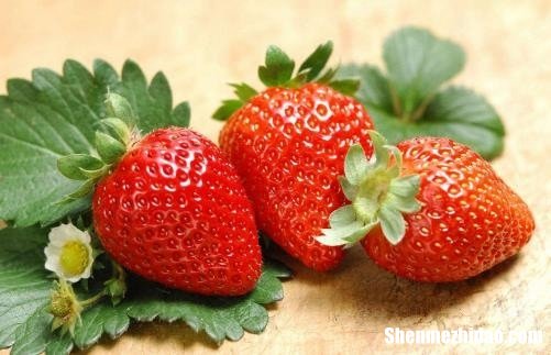 孕妇28周多吃什么水果好 孕妇28周多吃什么水果好一点