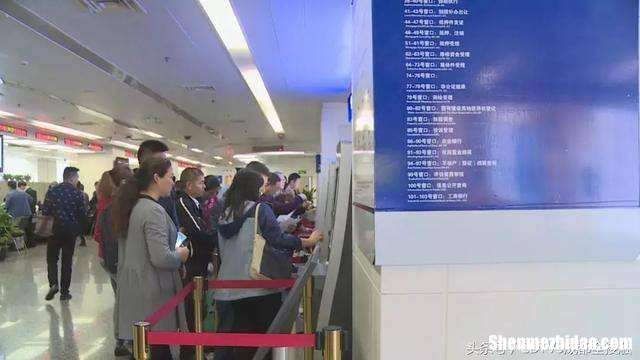 金牛社保局电话 金牛区社保局在哪儿