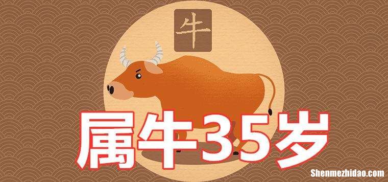 属牛人2019年每个月运势 2019年牛年运势及运程每月运程