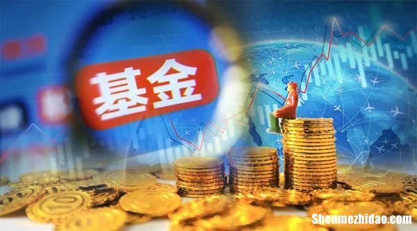 创业基金代表什么数字开头 基金名称下面的数字代表什么