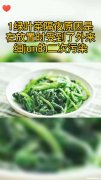 隔夜菜为什么不能吃 隔夜的菜到底能吃不能吃