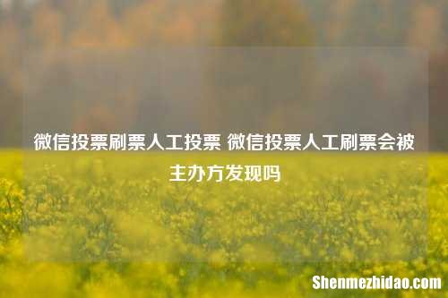微信投票刷票人工投票 微信投票人工刷票会被主办方发现吗
